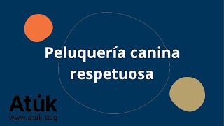 Peluquería canina respuetuosa [upl. by Layap732]