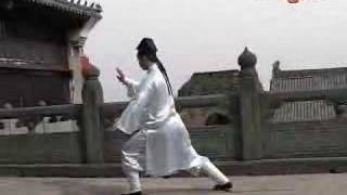 Tai Chi Chuan  ZhangSanfeng Taiji Quan Wudang Kungfu 武当太极 [upl. by Ahsikam37]