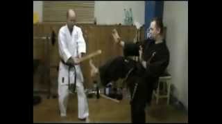 Uechiryu karate do  tameshiwari 20132014 [upl. by Wooldridge]