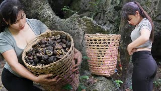 adventure in the forest How to find and harvest stone snails triệu lily [upl. by Munroe781]