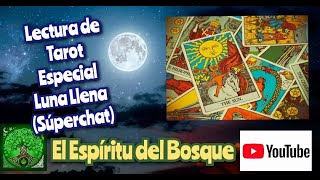 Tarot Especial Luna Llena🌕 en Leo♌ [upl. by Aikehs426]