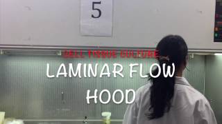 Laminar Flow Hood SOP [upl. by Llednik]