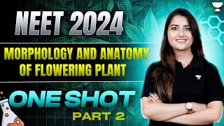 Morphology and Anatomy of Flowering Plants  One Shot  Part 2  NEET 2024  Seep Pahuja [upl. by Tracee283]