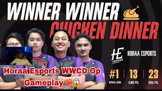 Horaa Esports 2 Cr7Horaa Reaction on Horaa Esports op WWCD ❤️‍🔥 cr7horaa anshyt [upl. by Feilak]