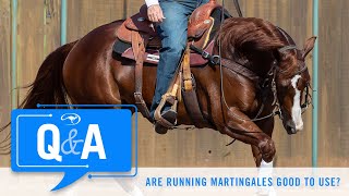 Are Running Martingales Good  QampA With Clinton Anderson [upl. by Fletch915]