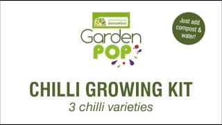 GardenPop Chilli Growing Kit  Greenhouse Sensation [upl. by Naul]