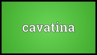 Cavatina Meaning [upl. by Wayolle]