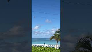 Ziplining on Great Stirrup Cay Bahamas [upl. by Ashti]