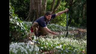 Snowdrops at Goldsborough Hall Head gardener Mark Waller at Goldsborough Hall near Knaresborough [upl. by Solracsiul]