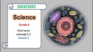 grade 6 science first term concept11  lesson 1 [upl. by Nahama]