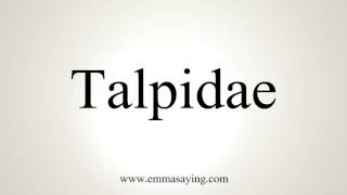 How To Pronounce Talpidae [upl. by Prince]