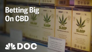 Betting Big On CBD How To Start A Business Few People Understand  NBC News [upl. by Koeppel611]