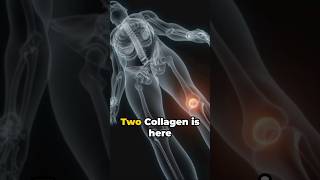 No Knee Pain The Undenatured Type II Collagen Magic [upl. by Palocz]