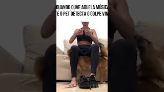 bomdia saopaulo comedia pets humor viralvideo memes dog doglover viralvideos borarir [upl. by Anne-Corinne]