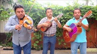 Trio Los Genuinos de Jacala Hidalgo en Houston Tx [upl. by Nandor]