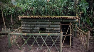 5Days bushcraft bamboo house in forest  build warm amp survival 🛖 [upl. by Sheffield294]