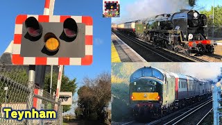 Ft Steamhauled railtour Teynham Level Crossing Kent [upl. by Gitel]