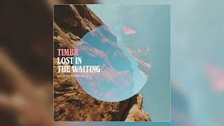 TIMBR  quotLost in the Waitingquot Official Audio [upl. by Adalai604]