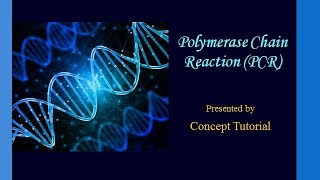 Polymerase Chain Reaction PCR  Biotechnology Principles amp Processes Part 7  Biology Class 12 [upl. by Marcia]