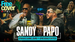 Free Cover Homenaje a Sandy y Papo MagicJuanElDuro amp reggiautentico [upl. by Noynek]