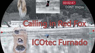 Nocpix ACEH50R Thermal Scope Calling in Red Fox huntthenight thermalhunting Nocpix [upl. by Otecina]