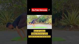 Eka Pada Bakasana⚡️One legged crow pose yoga asana shorts youtubeshorts viral viralshorts [upl. by Aicek]