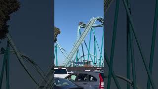 🫣😱😂 seaworld rollercoaster fypシ゚ shortsfeed views fypage fypviral youtube adventure [upl. by Leirbaj]