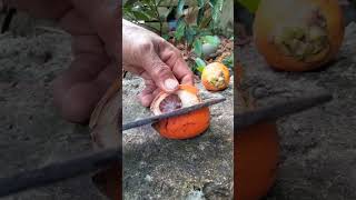 quotMaster the Art of Betel Nut Cutting Expert Tips and Techniquesquot [upl. by Norag]