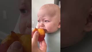 baby peach cutebaby lemon cute babyboy funny babyface comedy [upl. by Sisenej]