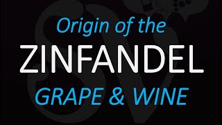 The Origin of Zinfandel  AmericanCalifornia Wine Grape History [upl. by Publias593]