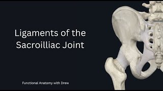 Ligaments of the Sacroilliac joint [upl. by Leinahtam25]