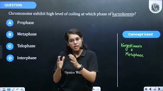 Chromosome exhibit high level of coiling at which phase of karyokinesis [upl. by Katrinka190]