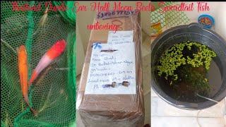 Thailand Dumbo Ear Half Moon Beeta and Swordtail Fish unboxing  Swordtail Fish Breeding Tub setup [upl. by Yenahc]