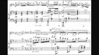 Guillaume Lekeu  Violin Sonata in G 189293 [upl. by Peednus]