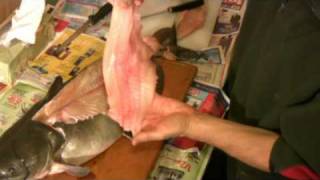 How to Fillet a Catfish  Easy and Simple Catfish Filleting [upl. by Anehc]