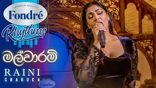 Malwaaram මල්වාරම් Raini Charuka Goonathilake  Derana Fondré Rhythms [upl. by Anahsar521]