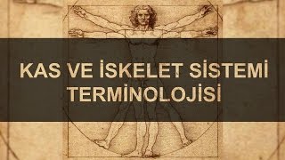 Kas ve İskelet Sistemi Terminolojisi Vücut Bölümleri 1 [upl. by Winslow440]