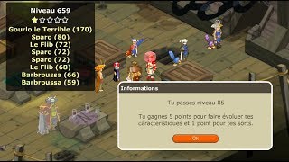 LAVENTURE DOFUS RETRO 16  PREMIERS DONJONS OTOMAÏ [upl. by Lagiba]