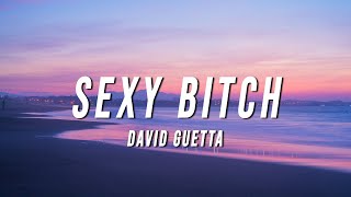 david guetta  sexy bitch TikTok Remix Lyrics [upl. by Esiocnarf]