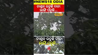 ତାଣ୍ଡବ ରଚୁଛି ଦାନା ଭାଙ୍ଗି ପଡ଼ୁଛି ବଡ଼ ବଡ଼ Cyclone Dana Landfall News Cyclone Odisha local18 [upl. by Stieglitz]