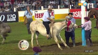 Jineteada en el Festival de Jesús María 2016 Tanda 4 [upl. by Egres704]