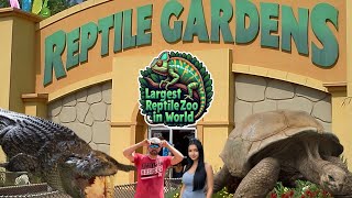 Worlds Largest Reptile Zoo  Giant Tortoises [upl. by Rheba842]