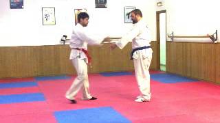 TECNICAS DE PROYECCIÓN CINTURON AMARILLO DE HAPKIDO [upl. by Farnsworth675]