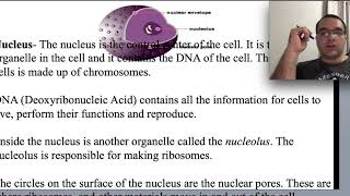 Cell components organelle and their function within a cell [upl. by Sallad191]