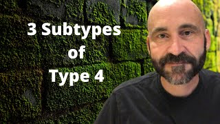 Enneagram Subtypes of Type 4 [upl. by Aicnorev]