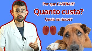 CASTRAÇÃO de machos  Dica Veterinária 18 [upl. by Endaira]