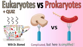 Eukaryotes vs Prokaryotes [upl. by Salta]