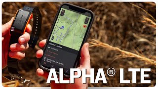 Alpha® LTE Dog Tracker Connect to the Hunt [upl. by Penney225]