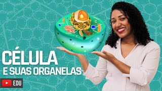 Aula Célula e suas organelas [upl. by Sasnak]