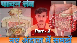 पाचन तंत्र Digestive system biology chapter 1 class 10th जैव प्रक्रम class 10  biology [upl. by Bradleigh]